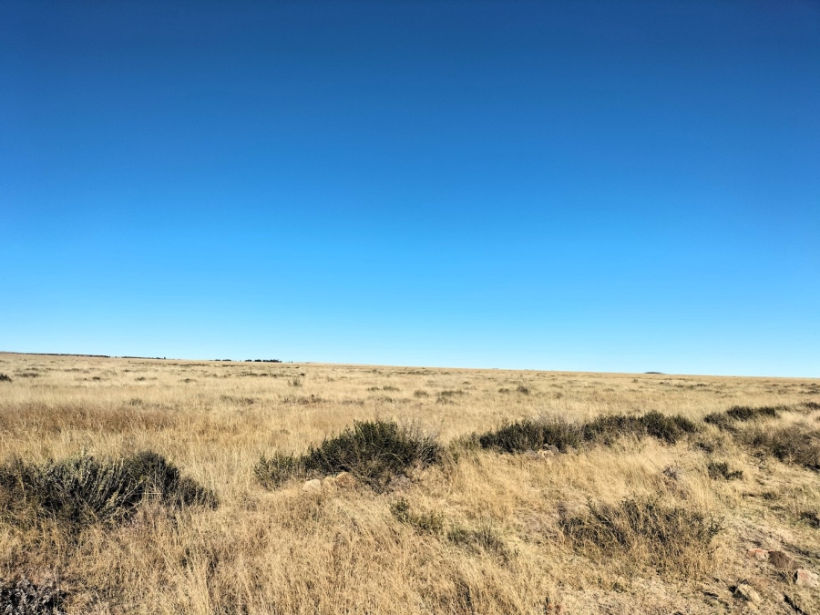 4 Bedroom Property for Sale in Edenburg Rural Free State
